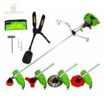 Motocoasa de umar ProCraft T4200